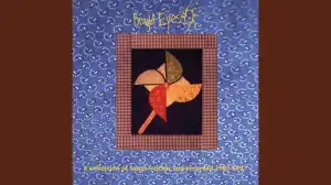 Bright Eyes - Lila
